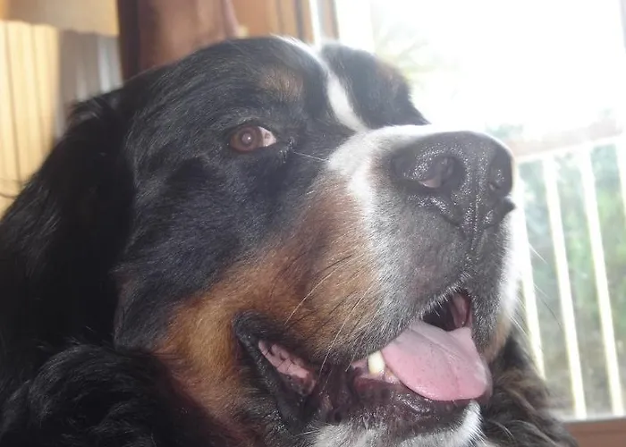 호텔 Le Christina 3*